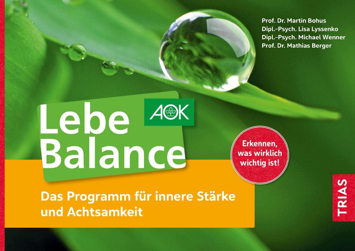 Lebe Balance Health, Nutrition & Fitness Books