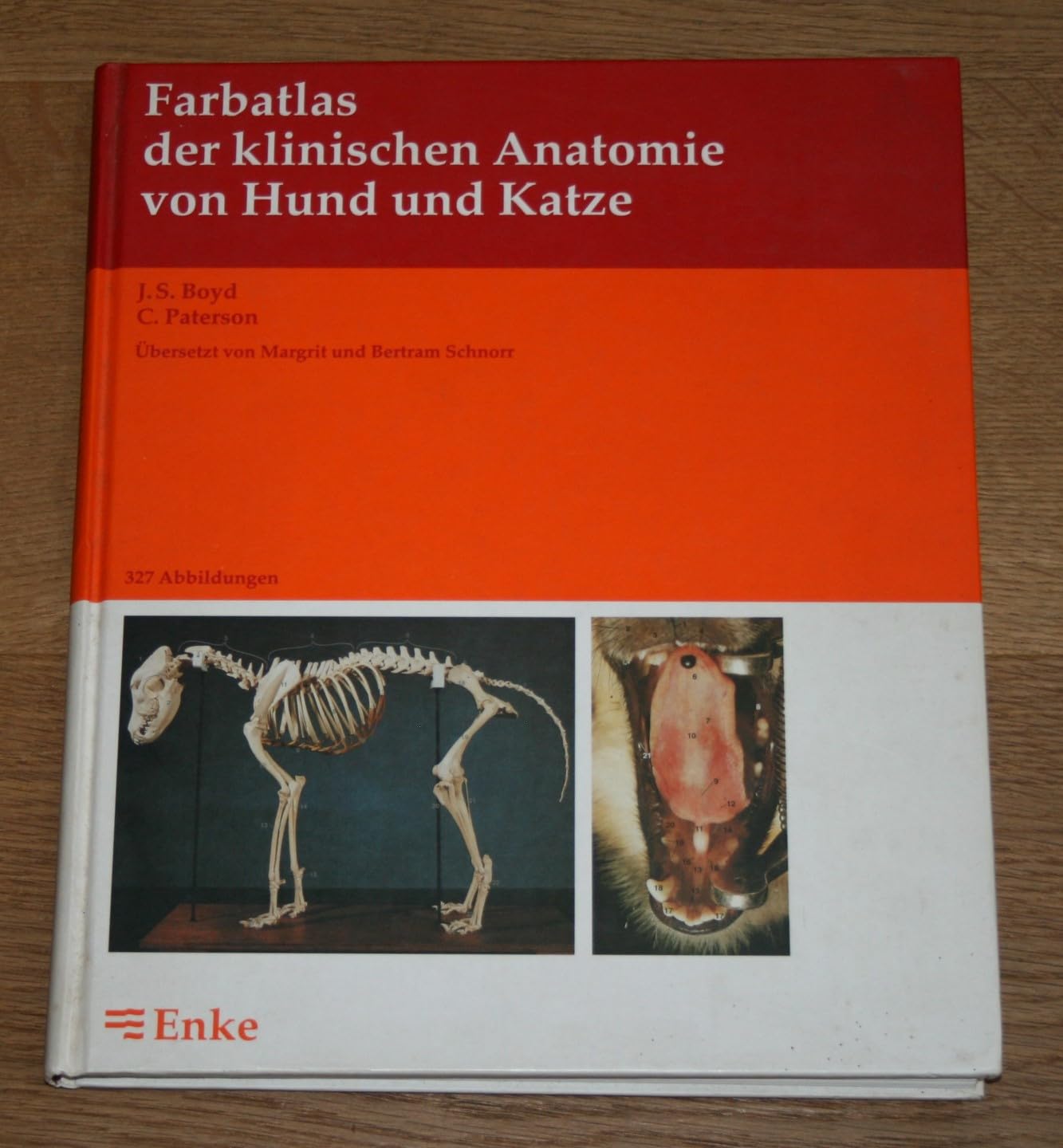 Farbatlas der klinischen Anatomie von Hund und Katze Medicine