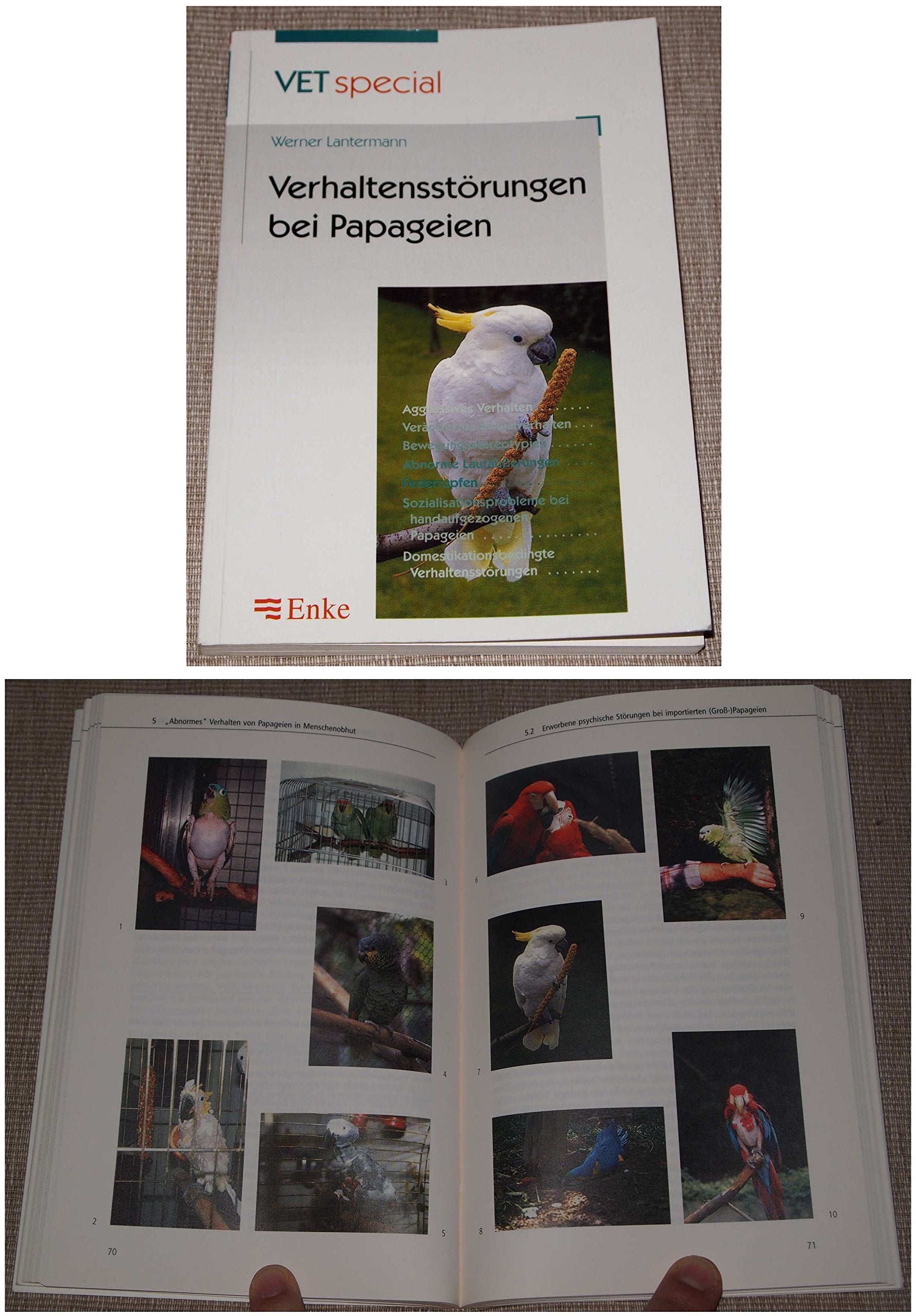 Verhaltensstörungen bei Papageien Medicine