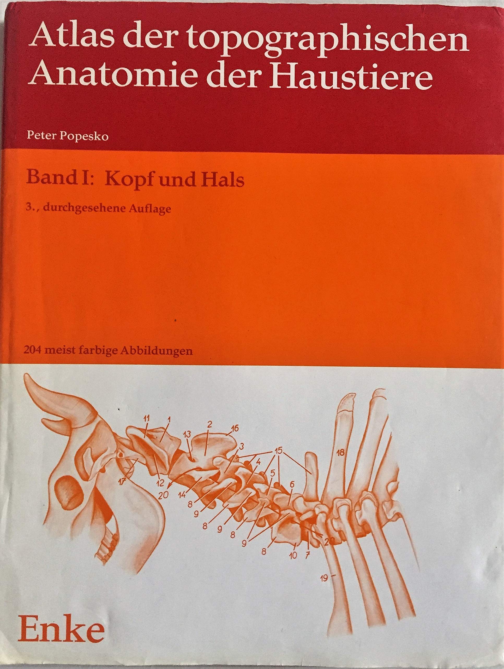Atlas der topographischen Anatomie der Haustiere Band I: Kopf und Hals Medicine