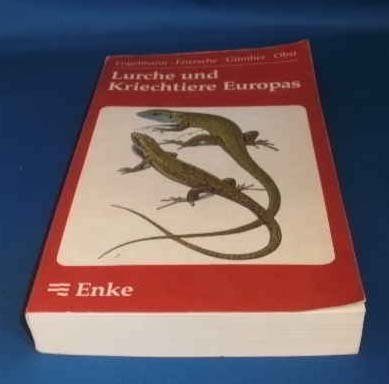 Lurche und Kriechtiere Europas Natural Sciences