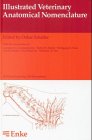 Illustrated Veterinary Anatomical Nomenclature Latin-English book