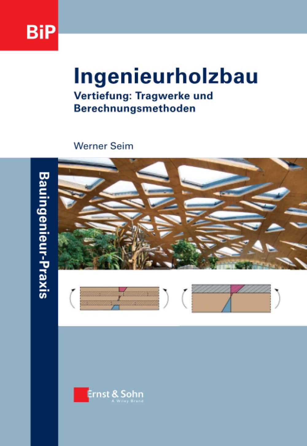Ingenieurholzbau: Vertiefung: Tragwerke und Berechnungsmethoden (Bauingenieur-Praxis) Business & Technology