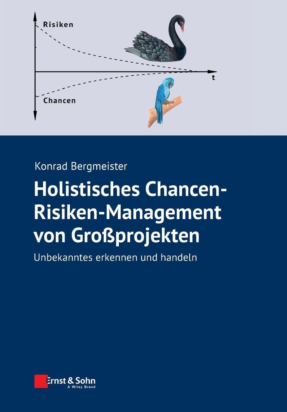 Holistisches Chancen-Risiken-Management von Grossprojekten: Unbekanntes erkennen und handeln Business & Technology