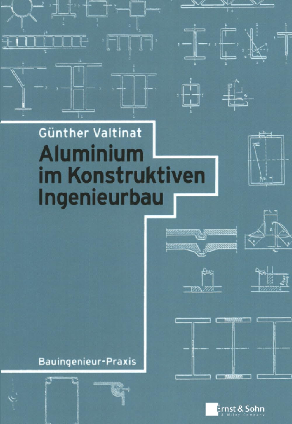 Aluminium im Konstruktiven Ingenieurbau book