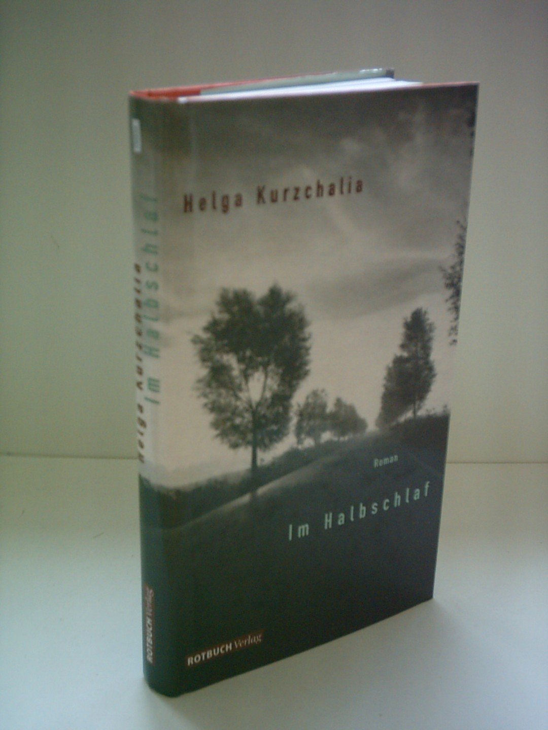 Im Halbschlaf: Roman Contemporary literature