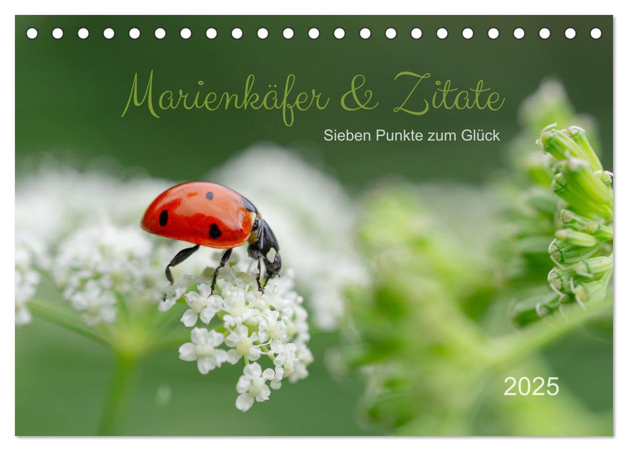 Marienkäfer & Zitate - Sieben Punkte zum Glück (Tischkalender 2025 DIN A5 quer), CALVENDO Monatskalender: Glückskäfer-Kalender: Zitate und Fotos (CALVENDO Tiere) Psychology