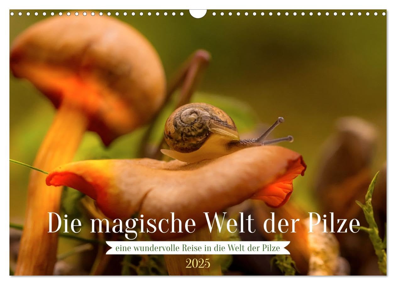 Die magische Welt der Pilze (Wandkalender 2025 DIN A3 quer), CALVENDO Monatskalender: Die besondere Welt der Pilze erleben. (CALVENDO Natur) Photography