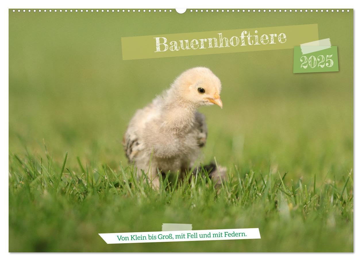 Bauernhoftiere - Von Klein bis Groß, mit Fell und mit Federn. (Wandkalender 2025 DIN A2 quer), CALVENDO Monatskalender: Auf den Bauernhöfen ist ... und ganz viel Hufgetrappel. (CALVENDO Tiere) Living & Furnishing