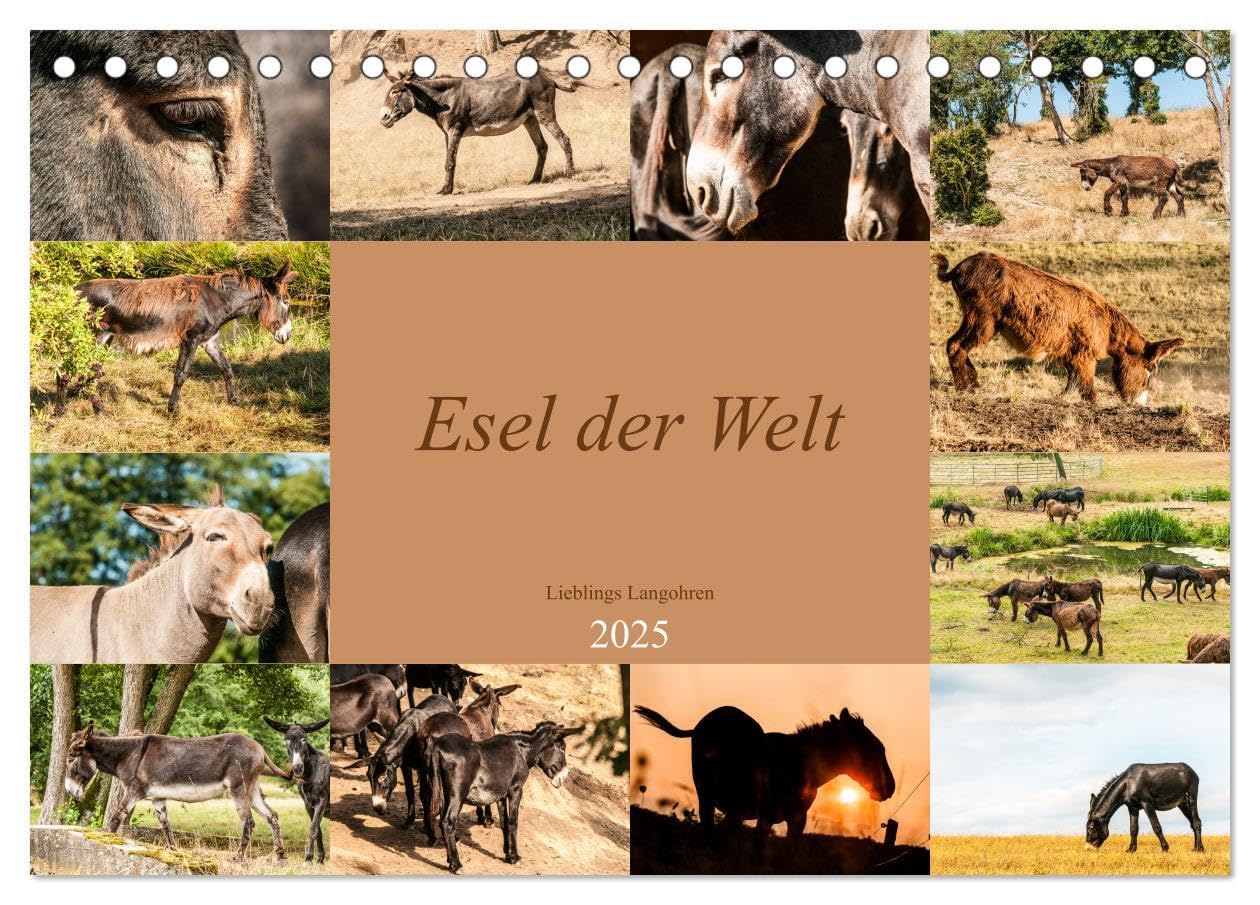 Esel der Welt - Lieblings Langohren (Tischkalender 2025 DIN A5 quer), CALVENDO Monatskalender: Seltene Eselrassen der Kulturen (CALVENDO Tiere) Natural Sciences