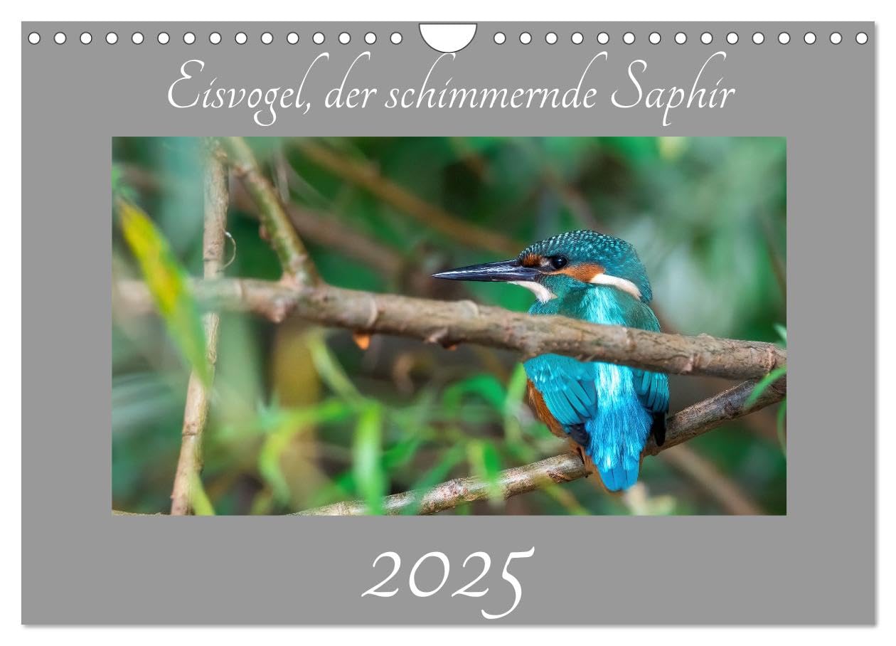Eisvogel, der schimmernde Saphir (Wandkalender 2025 DIN A4 quer), CALVENDO Monatskalender: Eisvögel eine wunderschöne Vogelart die jeder mal gesehen haben sollte! (CALVENDO Tiere) Natural Sciences