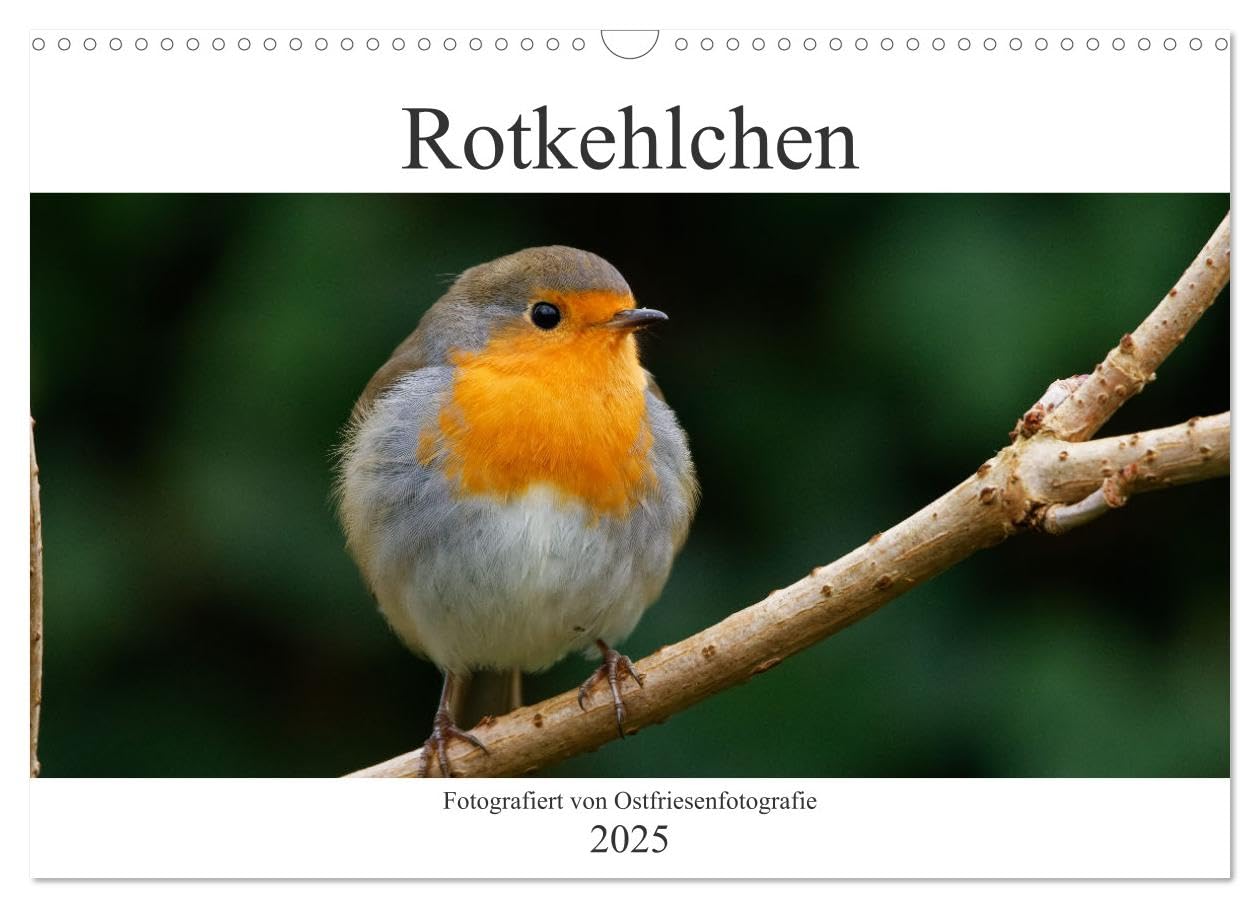 Rotkehlchen - Fotografiert von Ostfriesenfotografie (Wandkalender 2025 DIN A3 quer), CALVENDO Monatskalender: Mit dem Rotkehlchen durch die Jahreszeiten (CALVENDO Tiere) Natural Sciences
