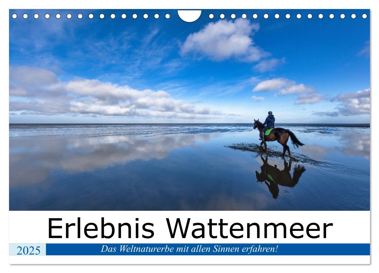 Erlebnis Wattenmeer (Wandkalender 2025 DIN A4 quer), CALVENDO Monatskalender: Das Wattenmmeer fasziniert durch seine wilde und bizarre Schönheit. (CALVENDO Natur) Leisure, Home & Garden