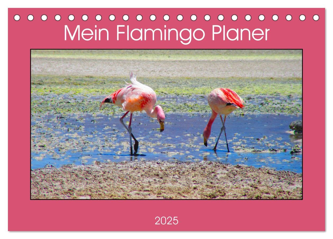 Mein Flamingo Planer (Tischkalender 2025 DIN A5 quer), CALVENDO Monatskalender: Das perfekte Geschenk für alle Flamingo Fans - Kalender Planer und Organizer (CALVENDO Tiere) Social Sciences