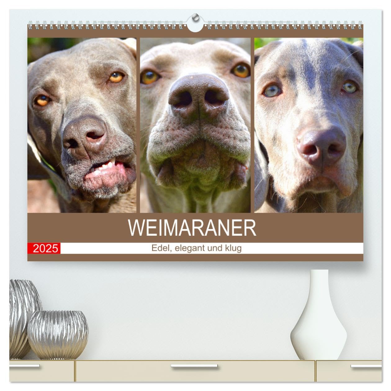 Weimaraner. Edel, elegant und klug (hochwertiger Premium Wandkalender 2025 DIN A2 quer), Kunstdruck in Hochglanz: Der Weimaraner ist ein wahrlich vornehmer und athletischer Jagdhund (CALVENDO Tiere) Living & Furnishing