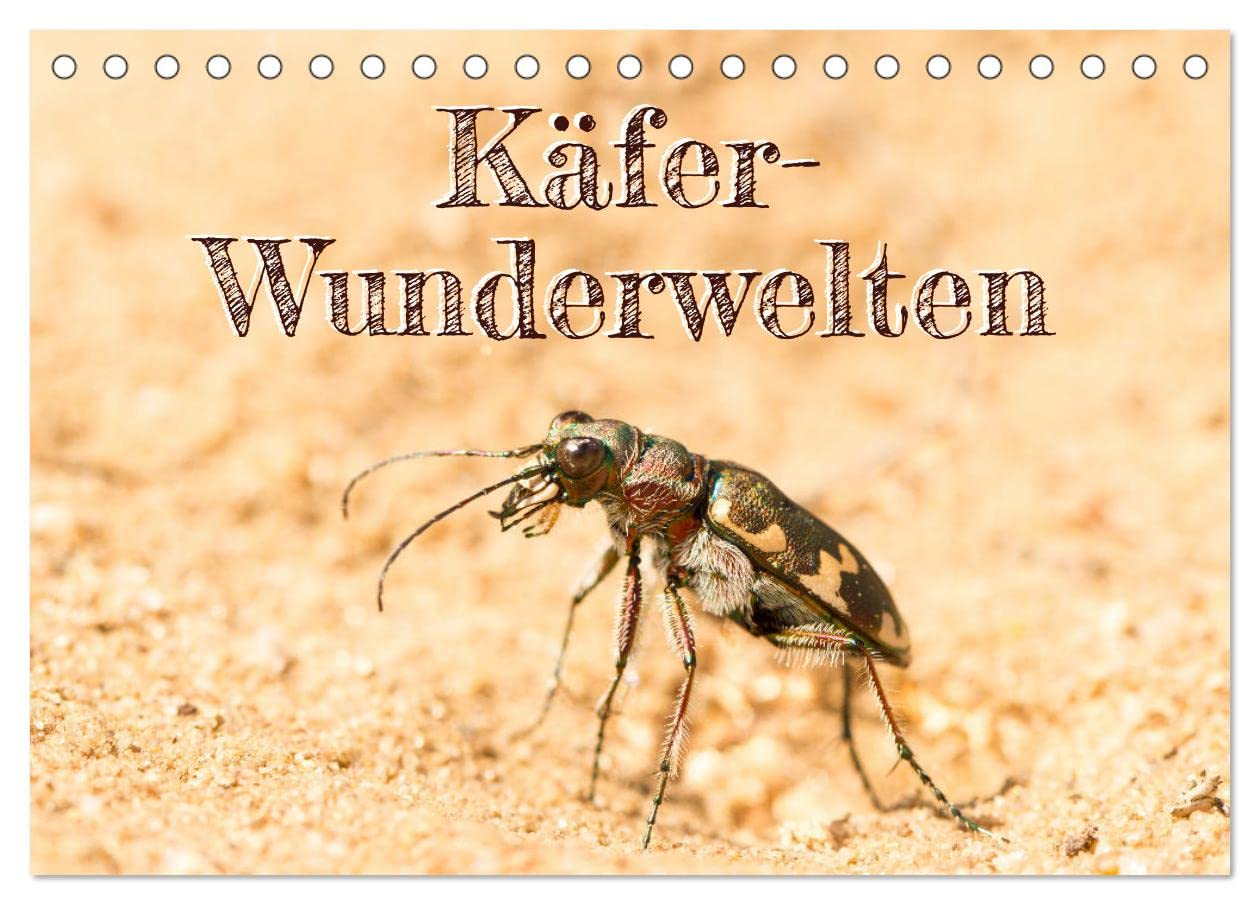 Käfer-Wunderwelten (Tischkalender 2025 DIN A5 quer), CALVENDO Monatskalender: Heimische Käfer in faszinierenden Makrofotografien (CALVENDO Tiere) Natural Sciences
