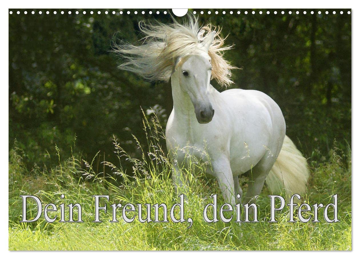 Dein Freund, dein Pferd (Wandkalender 2025 DIN A3 quer), CALVENDO Monatskalender: Zum richtigem Zeitpunkt mit dem Besitzer des Pferdes auf der Koppel zu sein. (CALVENDO Tiere) Natural Sciences