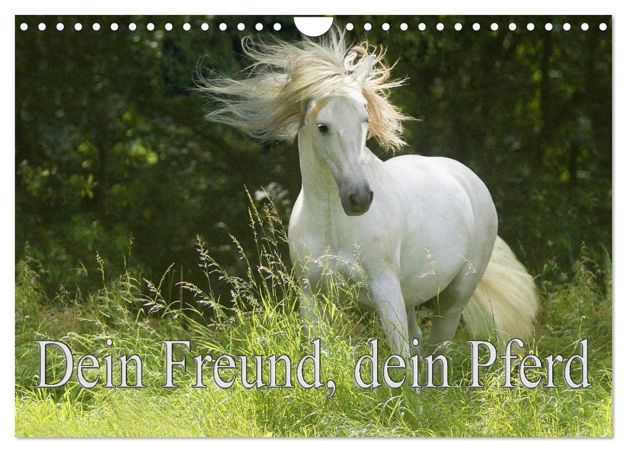 Dein Freund, dein Pferd (Wandkalender 2025 DIN A4 quer), CALVENDO Monatskalender: Zum richtigem Zeitpunkt mit dem Besitzer des Pferdes auf der Koppel zu sein. (CALVENDO Tiere) Natural Sciences