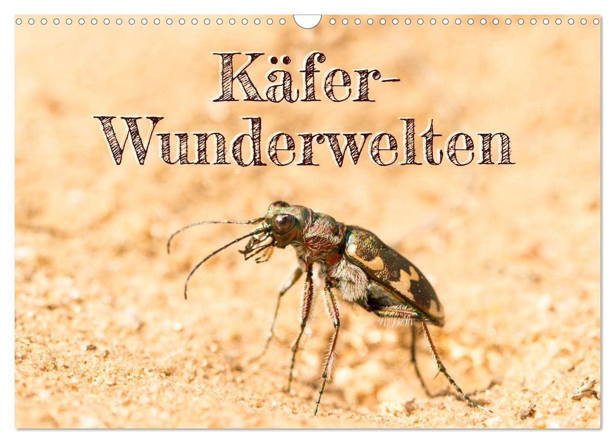 Käfer-Wunderwelten (Wandkalender 2025 DIN A3 quer), CALVENDO Monatskalender Natural Sciences