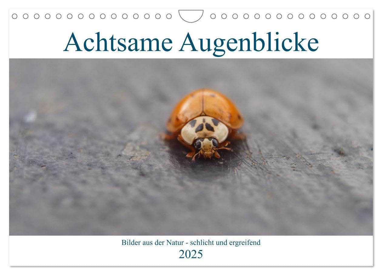 Achtsame Augenblicke (Wandkalender 2025 DIN A4 quer), CALVENDO Monatskalender: Bewusste achtsame Fotografie aus der Natur - schlicht und ergreifend (CALVENDO Natur) Photography