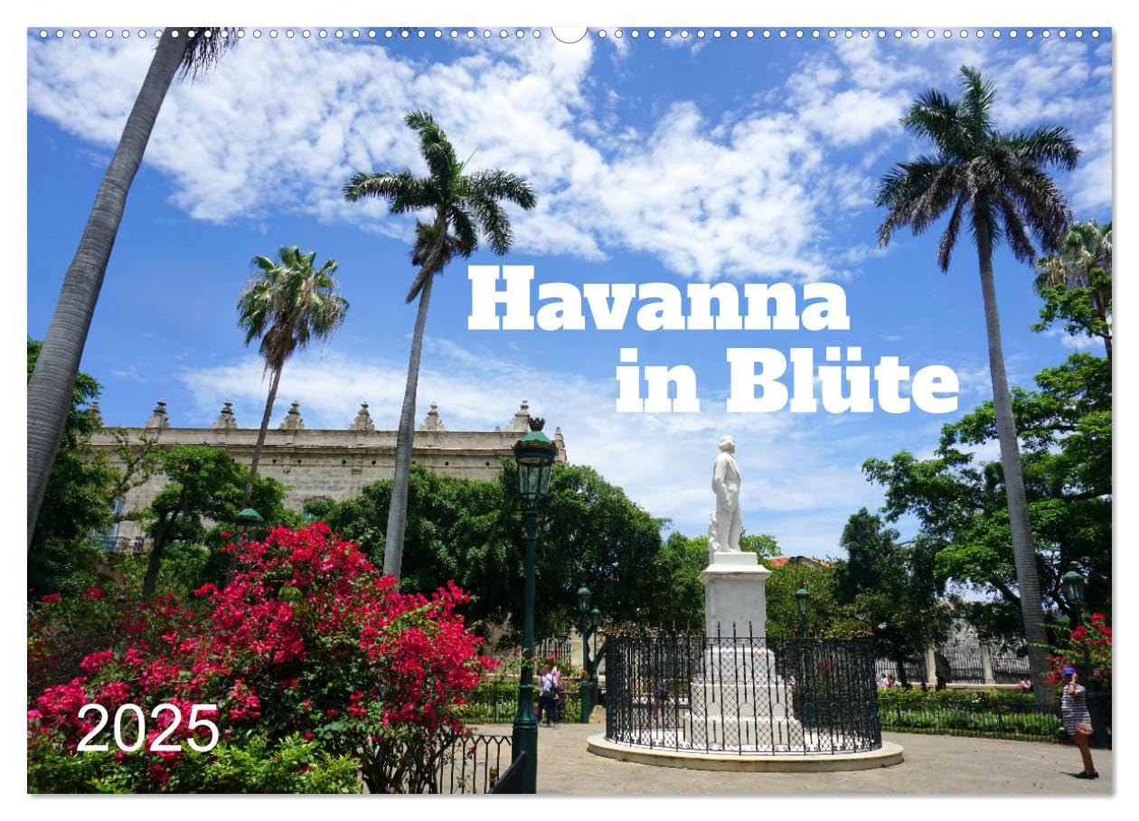 Havanna in Blüte (Wandkalender 2025 DIN A2 quer), CALVENDO Monatskalender: Blühende Bäume und Wahrzeichen Havannas (CALVENDO Natur) Calendars