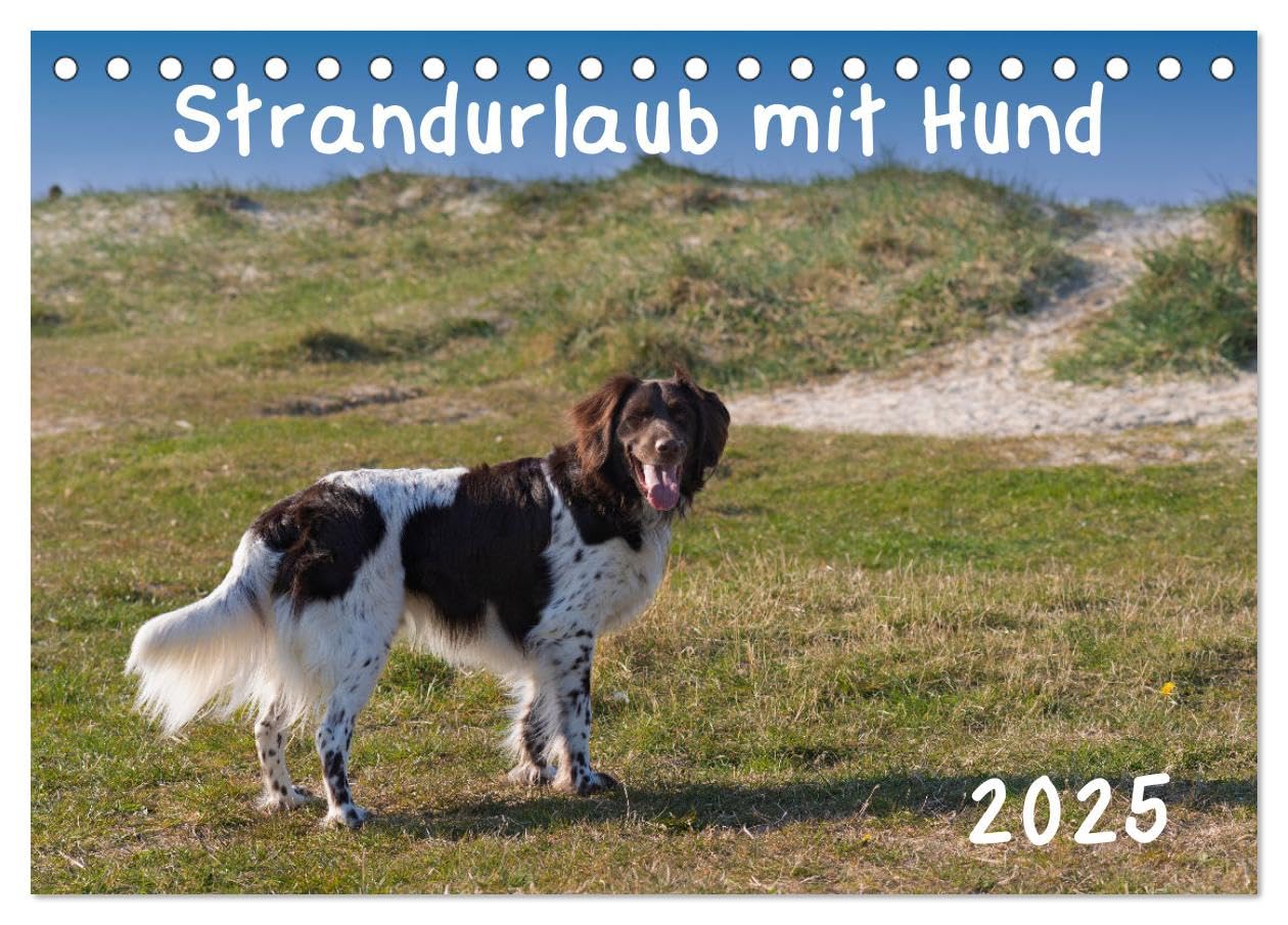 Strandurlaub mit Hund (Tischkalender 2025 DIN A5 quer), CALVENDO Monatskalender: Eine bunte Mischung vierbeiniger Standurlauber an der Nordsee (CALVENDO Tiere) Leisure, Home & Garden