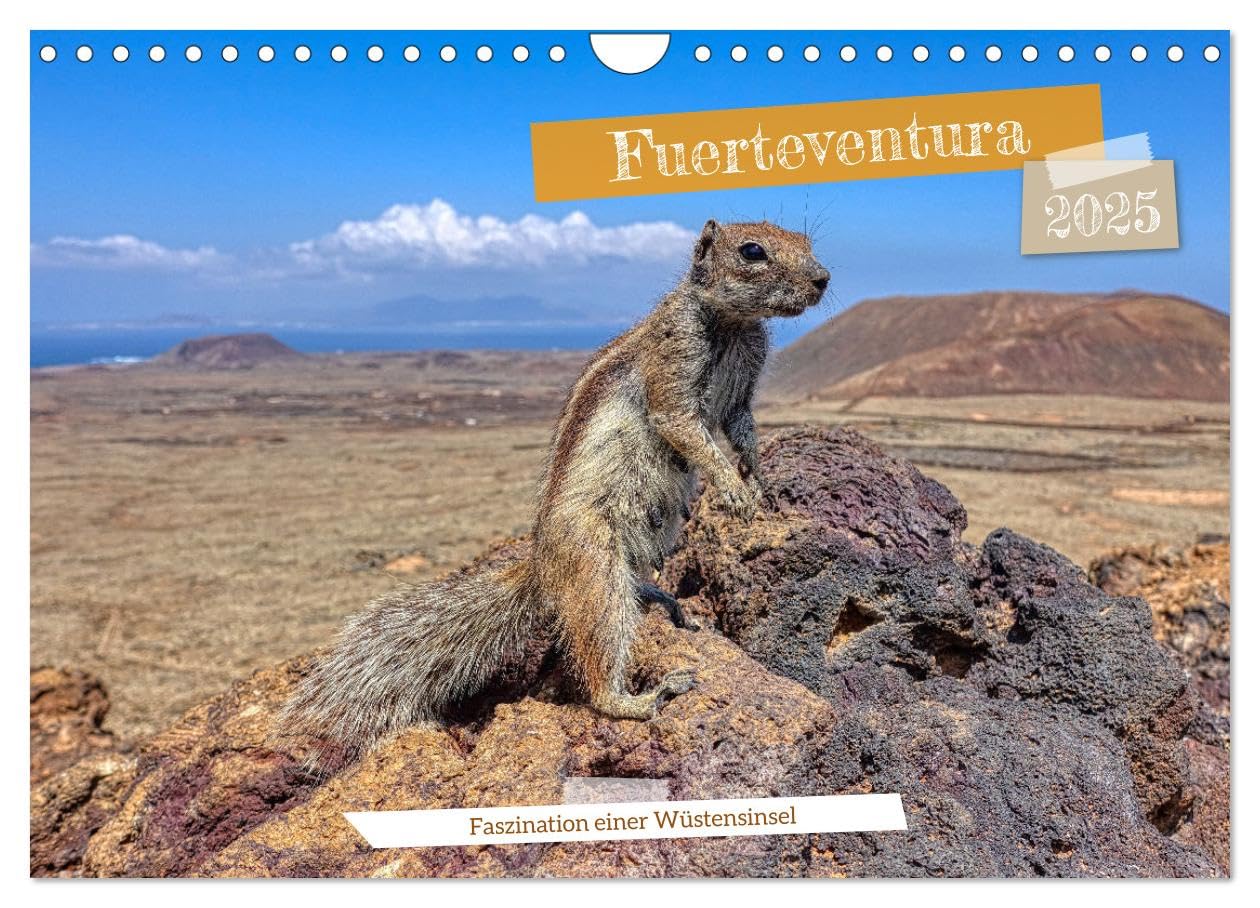 Fuerteventura - Faszination einer Wüsteninsel (Wandkalender 2025 DIN A4 quer), CALVENDO Monatskalender Film, Art & Culture