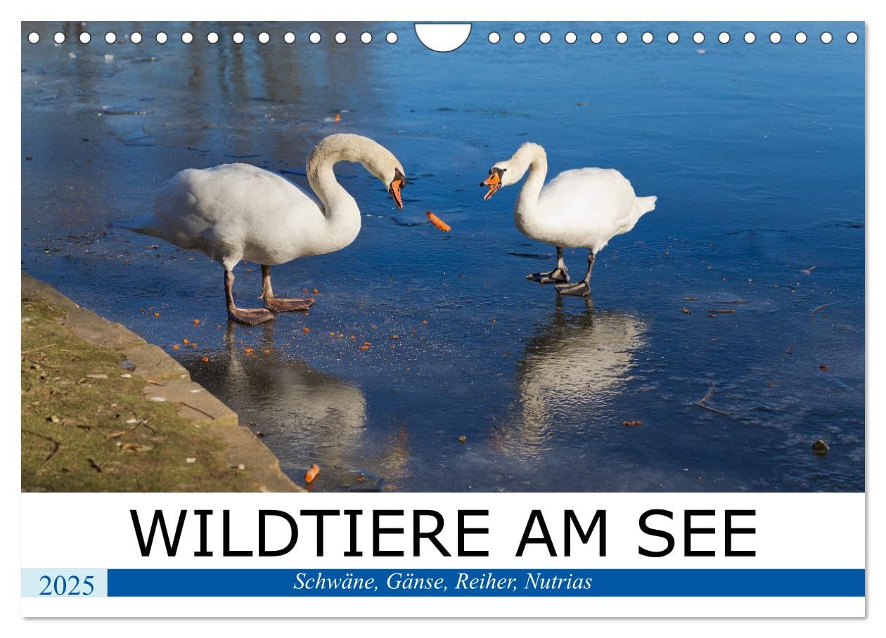 WILDTIERE AM SEE (Wandkalender 2025 DIN A4 quer), CALVENDO Monatskalender: Zutrauliche Wildtiere - Bewährte Therapeuten für die Seele in ungewöhnlichen Zeiten (CALVENDO Tiere) Natural Sciences