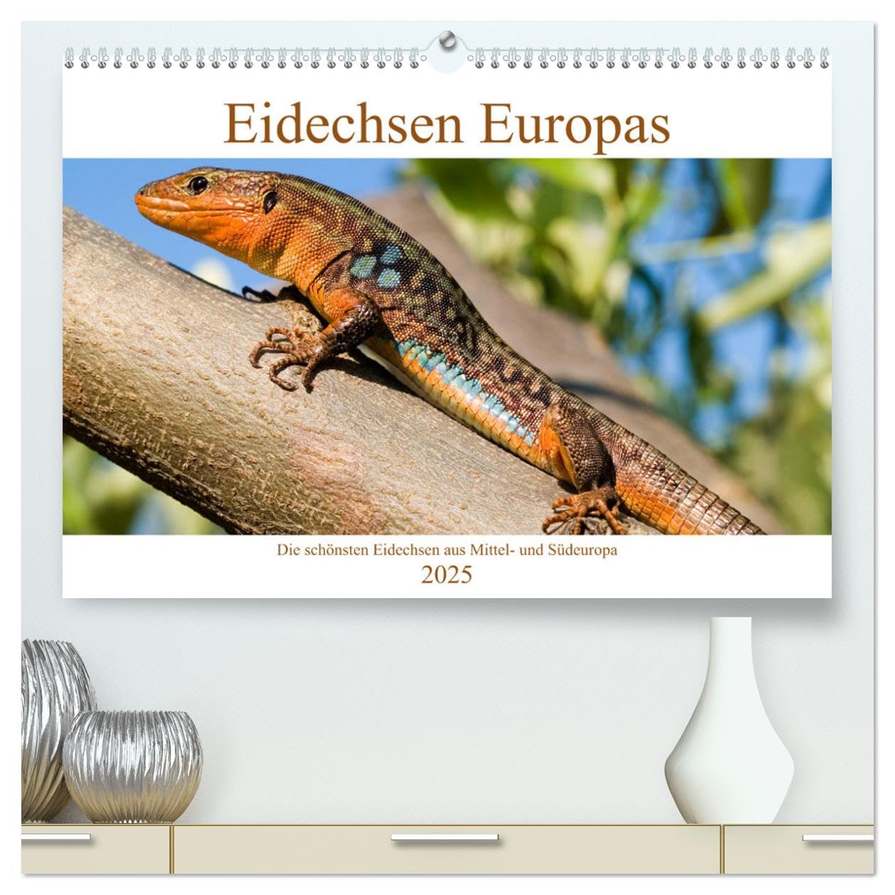 Eidechsen Europas (hochwertiger Premium Wandkalender 2025 DIN A2 quer), Kunstdruck in Hochglanz (CALVENDO Tiere) Natural Sciences