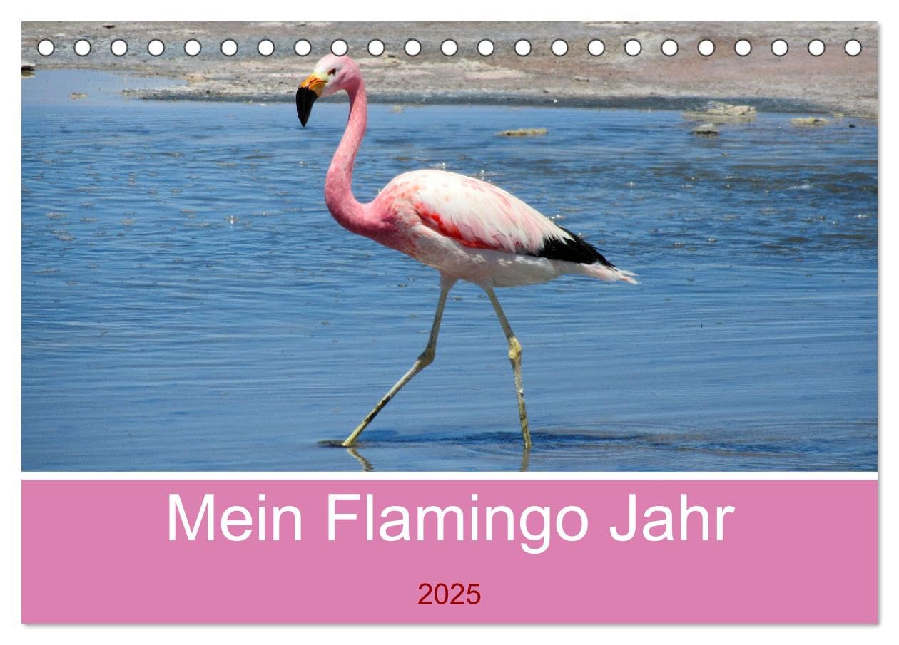 Mein Flamingo Jahr (Tischkalender 2025 DIN A5 quer), CALVENDO Monatskalender: Trendtier Flamingo - Die pinke Schönheit auf Stelzen (CALVENDO Tiere) Social Sciences