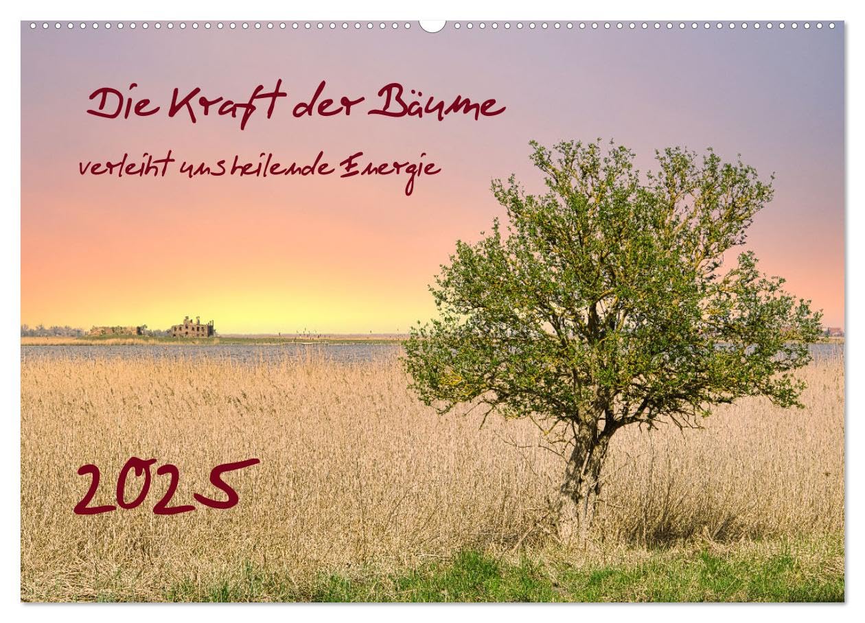 Die Kraft der Bäume (Wandkalender 2025 DIN A2 quer), CALVENDO Monatskalender: Bäume strahlen Kraft, Ruhe, Schutz und Geborgenheit aus. (CALVENDO Natur) Leisure, Home & Garden
