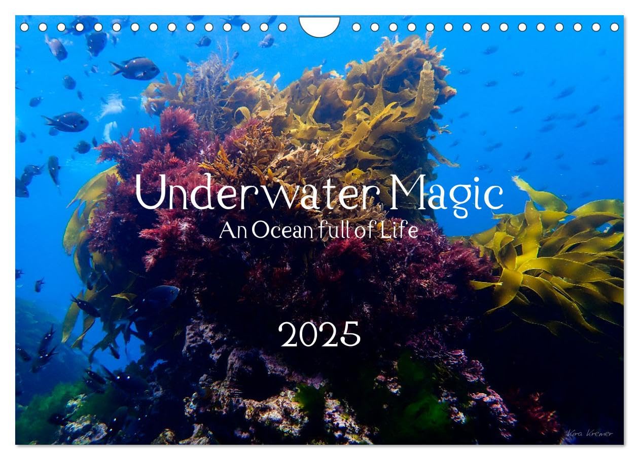 Underwater Magic (Wandkalender 2025 DIN A4 quer), CALVENDO Monatskalender: Lass dich verzaubern von der Magie der faszinierenden Unterwasserwelt! (CALVENDO Tiere) Natural Sciences