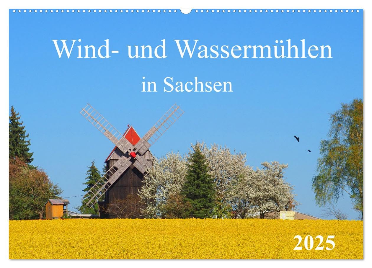 Wind- und Wassermühlen in Sachsen (Wandkalender 2025 DIN A2 quer), CALVENDO Monatskalender: Mühlenanlagen vergangener Zeiten (CALVENDO Technologie) Leisure, Home & Garden