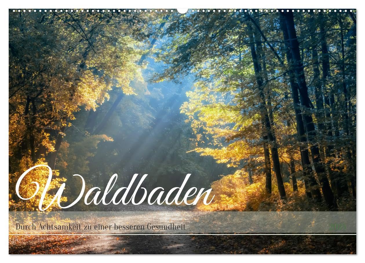 Waldbaden - Durch Achtsamkeit zu einer besseren Gesundheit (Wandkalender 2025 DIN A2 quer), CALVENDO Monatskalender: Tauchen Sie in die heilsame Ruhe ... körperliche Gesundheit. (CALVENDO Gesundheit) Health, Nutrition & Fitness
