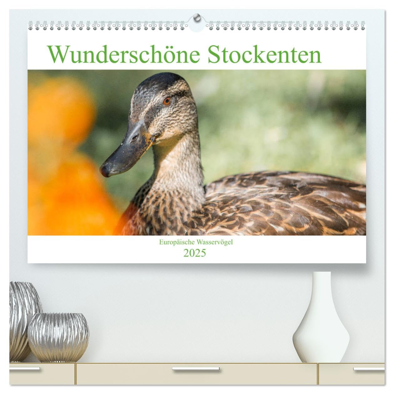 Wunderschöne Stockenten - Europäische Wasservögel (hochwertiger Premium Wandkalender 2025 DIN A2 quer), Kunstdruck in Hochglanz: Es braucht nicht ... nimmt Sie mit zu den w (CALVENDO Tiere) Natural Sciences