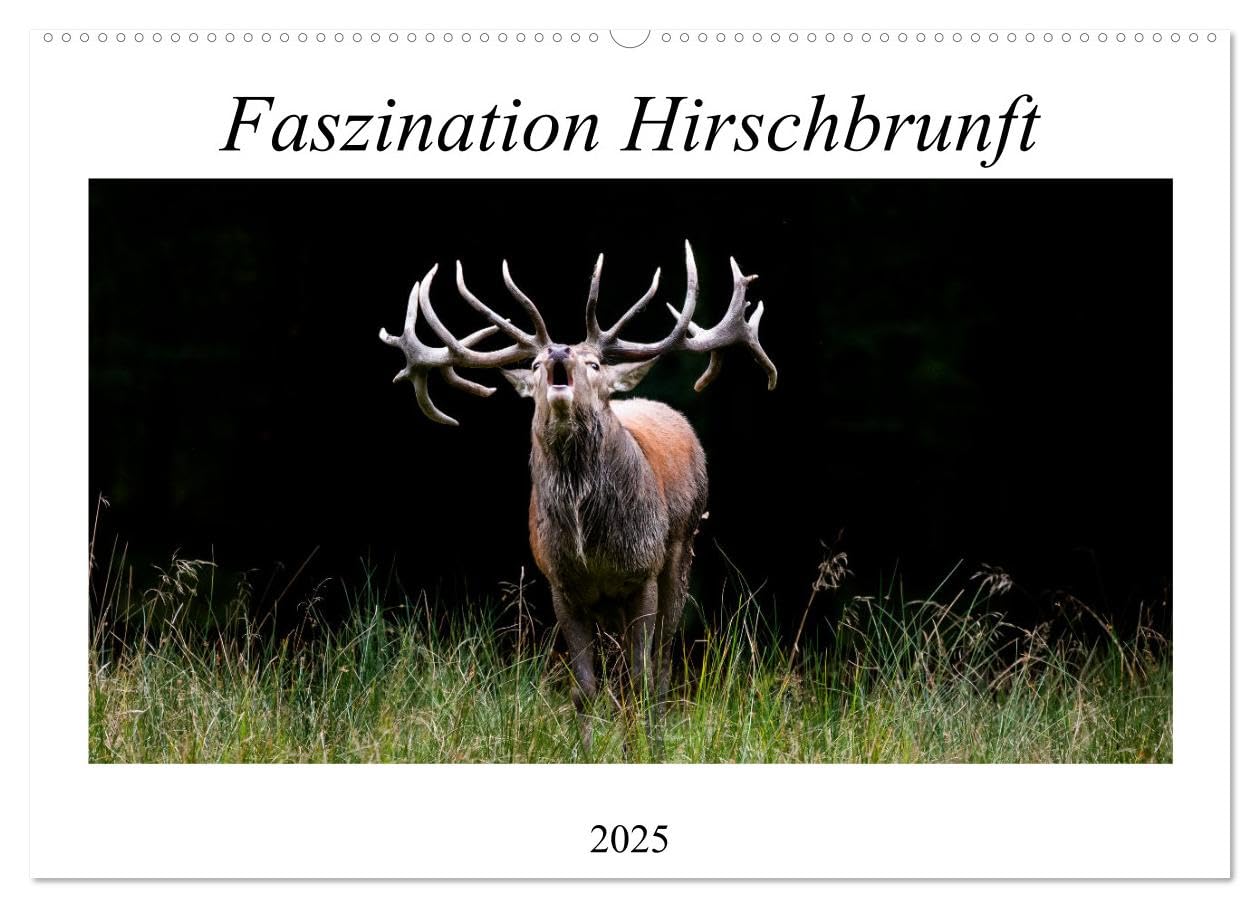 Faszination Hirschbrunft (Wandkalender 2025 DIN A2 quer), CALVENDO Monatskalender: Bezaubernde Einblicke während der Rotwildbrunft (CALVENDO Tiere) Natural Sciences