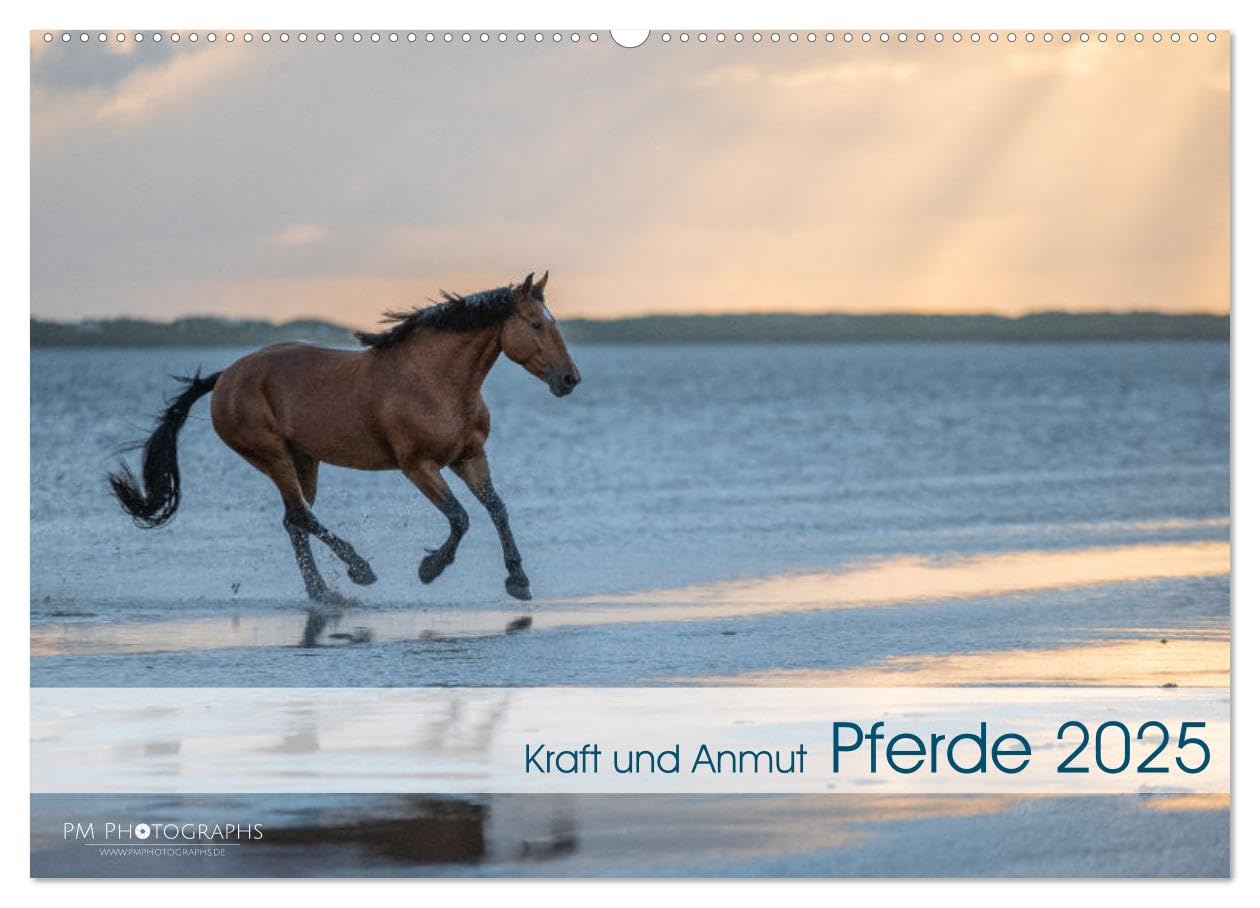 Pferde 2025 Kraft und Anmut (Wandkalender 2025 DIN A2 quer), CALVENDO Monatskalender: Ausdrucksstarke Pferde in der Natur (CALVENDO Tiere) Natural Sciences