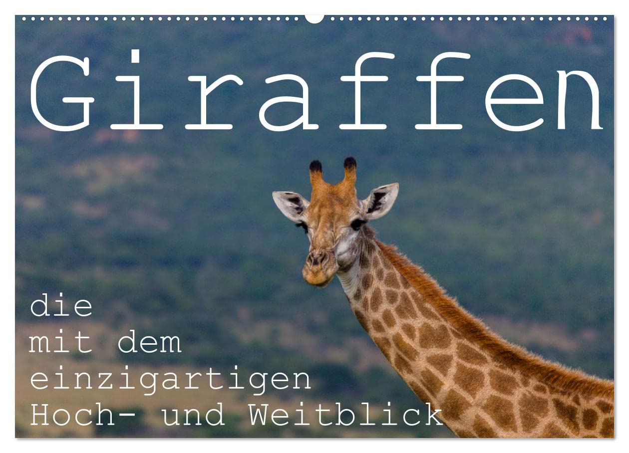 Giraffen - Tiere mit dem einzigartigen Hoch- und Weitblick (Wandkalender 2025 DIN A2 quer), CALVENDO Monatskalender: Die Schönheit der Giraffen im südlichen und östlichen Afrika (CALVENDO Tiere) Natural Sciences