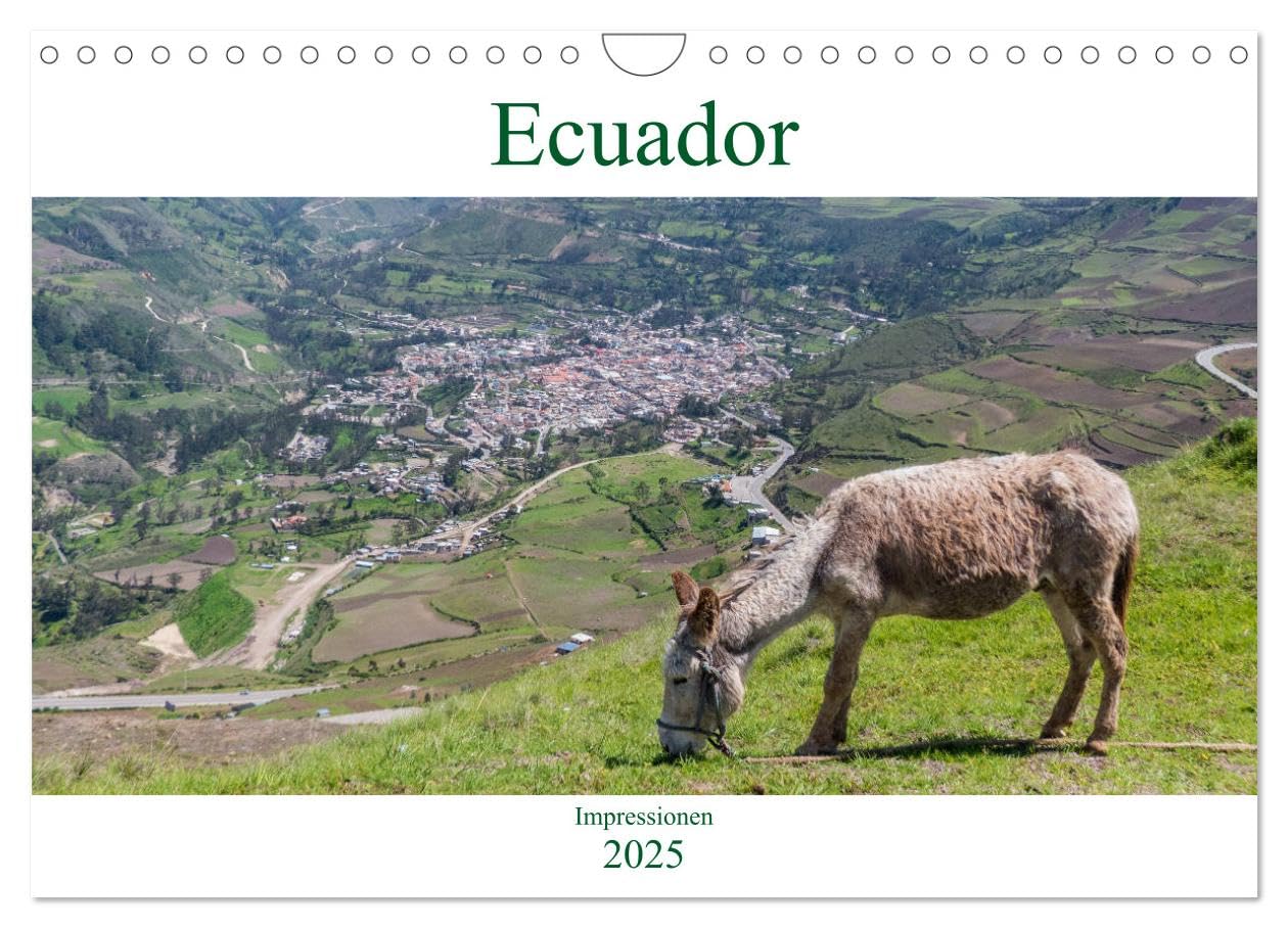 Ecuador - Impessionen (Wandkalender 2025 DIN A4 quer), CALVENDO Monatskalender: Der Kalender nimmt Sie mit auf eine Reise in das kleine aber abwechslungsreiche Ecuador. (CALVENDO Orte) Leisure, Home & Garden