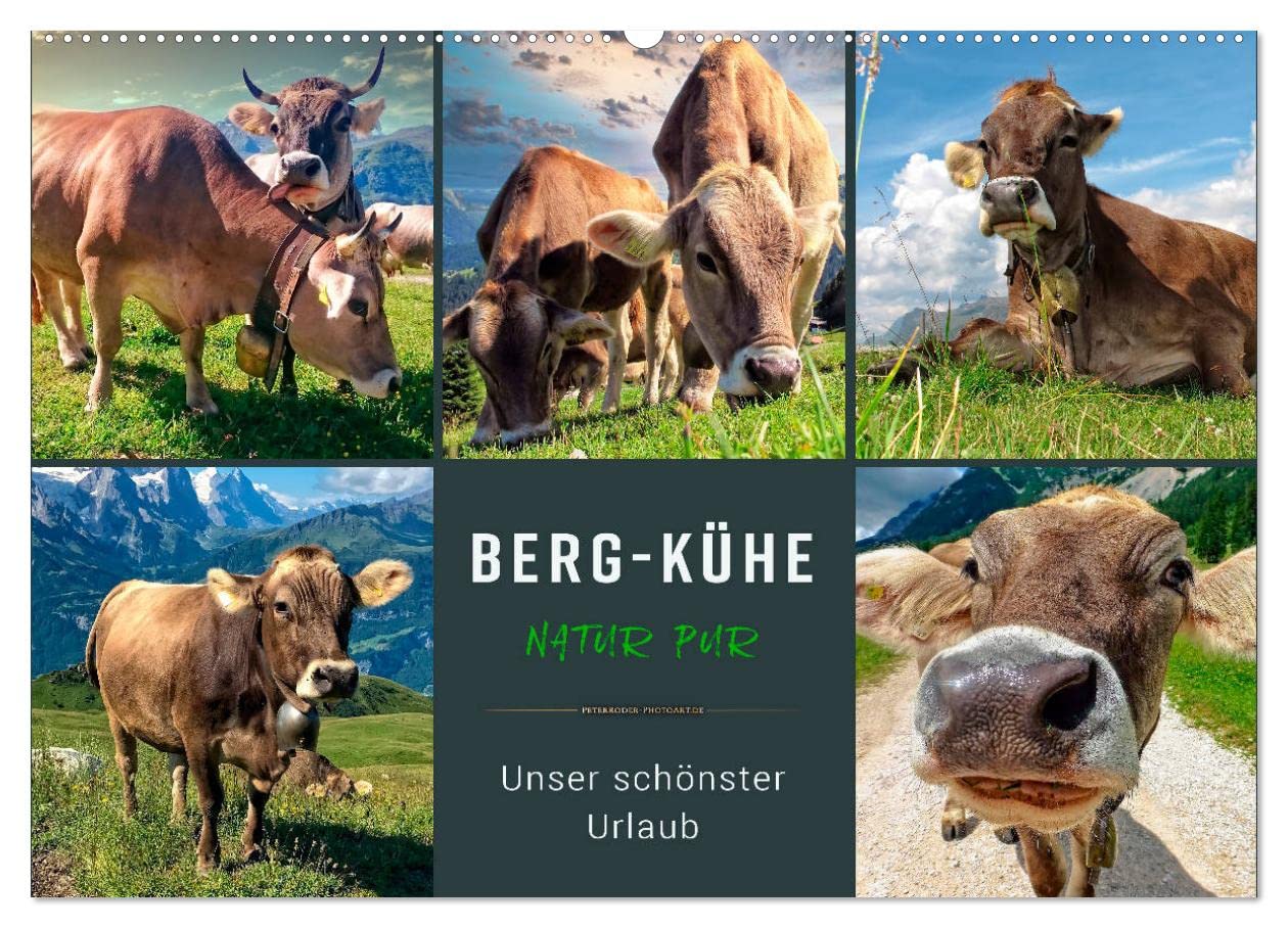 Berg-Kühe, Natur pur - unser schönster Urlaub (Wandkalender 2025 DIN A2 quer), CALVENDO Monatskalender: Eindrucksvolle Bilder der braunen Rinder vor ... Berglandschaften. (CALVENDO Tiere) Living & Furnishing