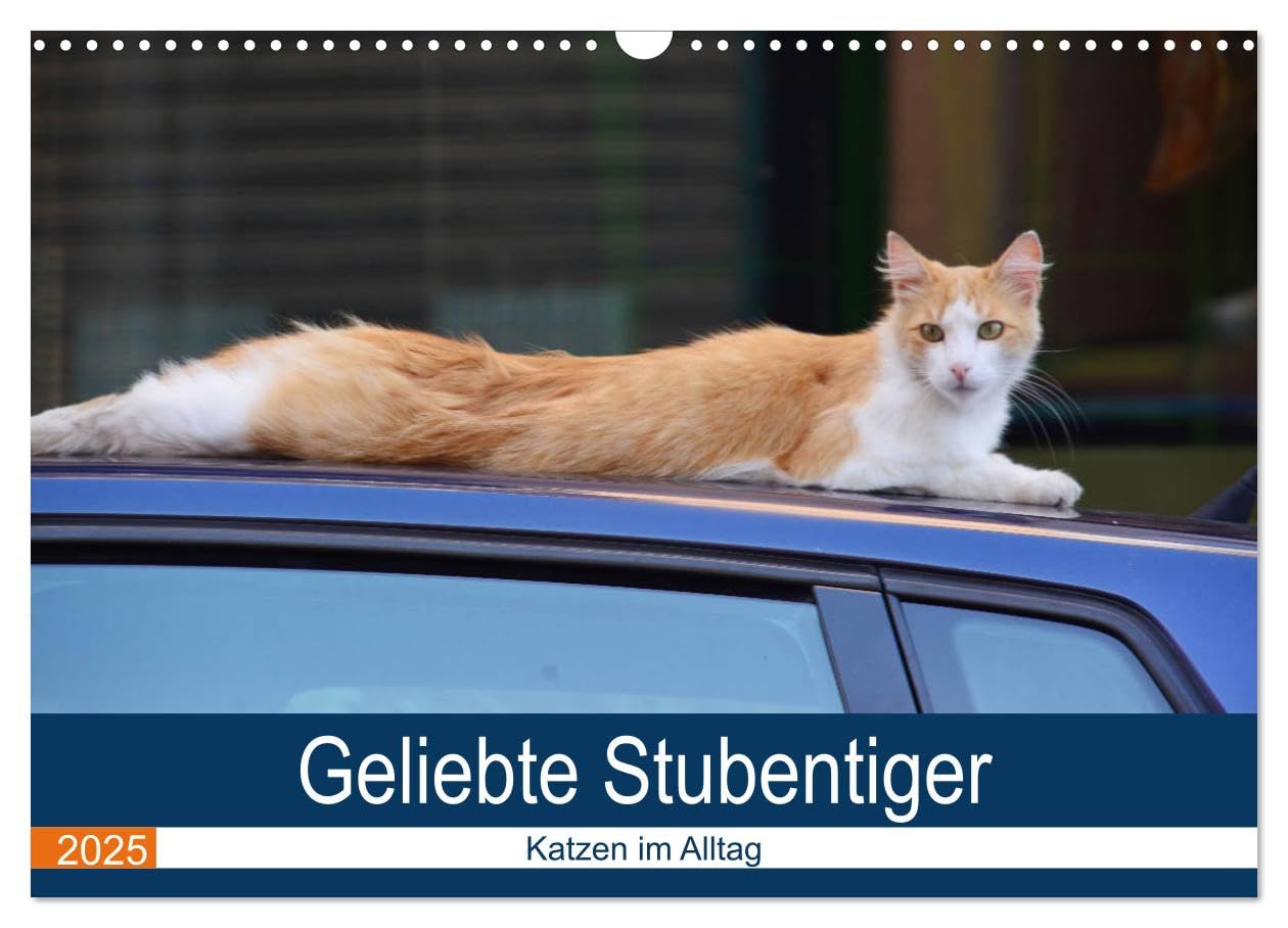 Geliebte Stubentiger - Katzen im Alltag (Wandkalender 2025 DIN A3 quer), CALVENDO Monatskalender: Katzen in alltäglichen Situationen (CALVENDO Tiere) Natural Sciences