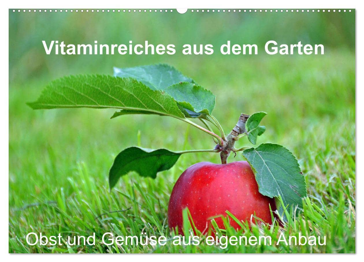 Vitaminreiches aus dem Garten (Wandkalender 2025 DIN A2 quer), CALVENDO Monatskalender: Obst und Gemüse aus eigenem Anbau (CALVENDO Lifestyle) Leisure, Home & Garden