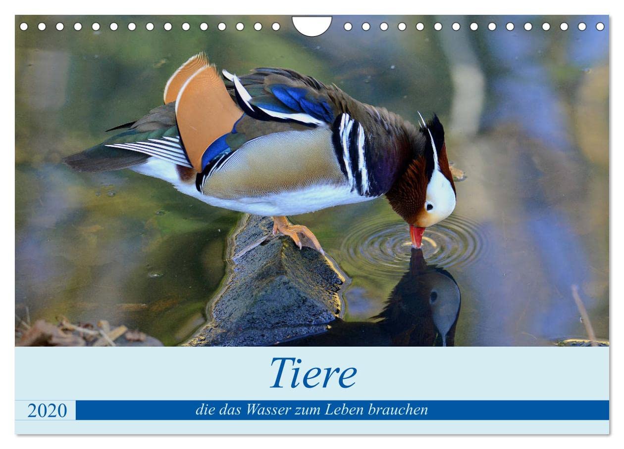 Tiere, die das Wasser zum Leben brauchen. (Wandkalender 2025 DIN A4 quer), CALVENDO Monatskalender: Von Tieren kann man viel lernen, man muss sich nur mit ihnen befassen. (CALVENDO Tiere) Natural Sciences