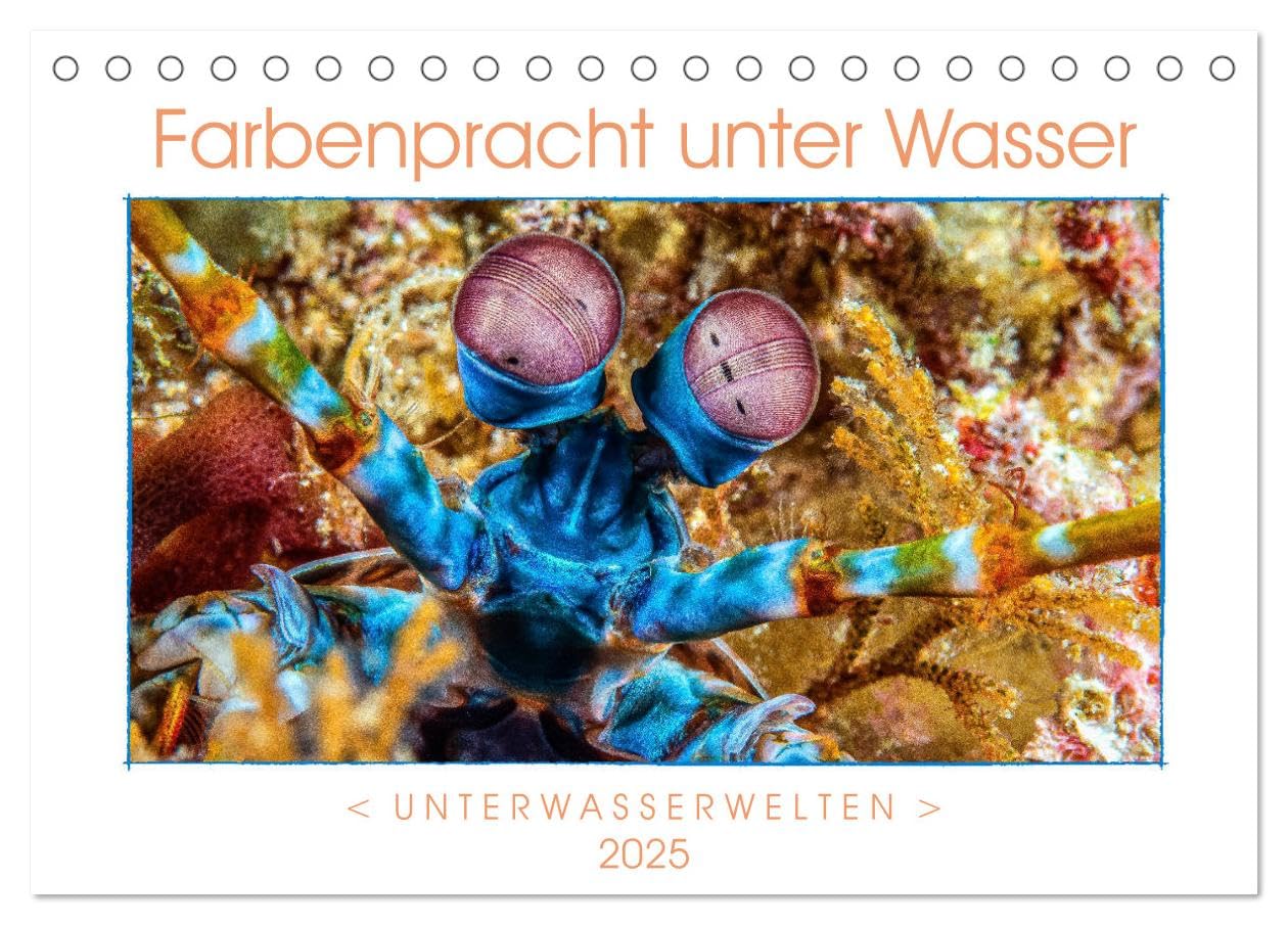 Farbenpracht unter Wasser (Tischkalender 2025 DIN A5 quer), CALVENDO Monatskalender: Ein Kalender mir farbstarken und ausdrucksvollen Aufnahmen aus der tropischen Unterwasserwelt. (CALVENDO Tiere) Leisure, Home & Garden