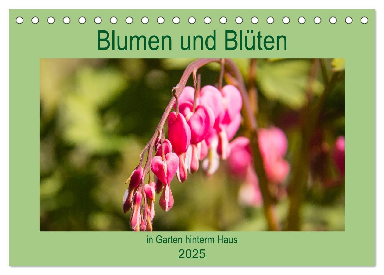 Blumen und Blüten im Garten hinterm Haus (Tischkalender 2025 DIN A5 quer), CALVENDO Monatskalender Leisure, Home & Garden