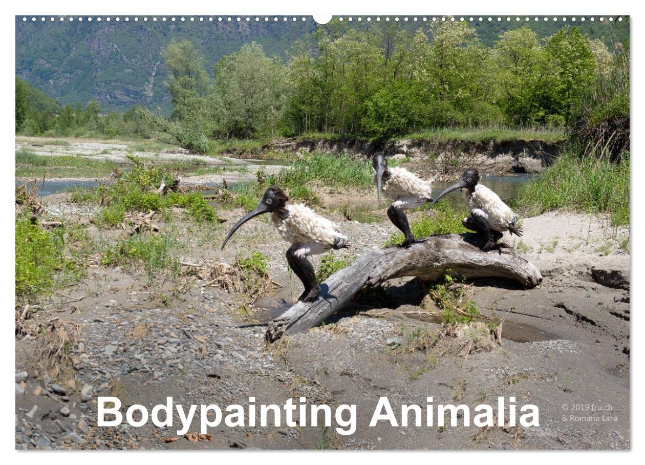 Bodypainting Animalia (Wandkalender 2025 DIN A2 quer), CALVENDO Monatskalender: Shapeshifting des Models Romana Lara (CALVENDO Kunst) Leisure, Home & Garden
