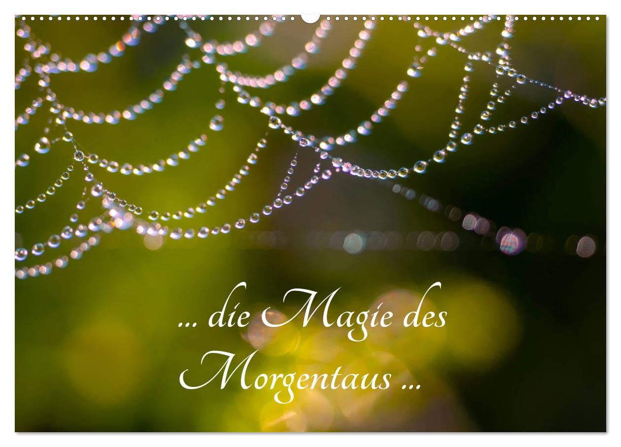... die Magie des Morgentaus ... (Wandkalender 2025 DIN A2 quer), CALVENDO Monatskalender: Makrofotografie von Tau am Morgen in seinen unterschiedlichen Erscheinungen (CALVENDO Natur) Photography