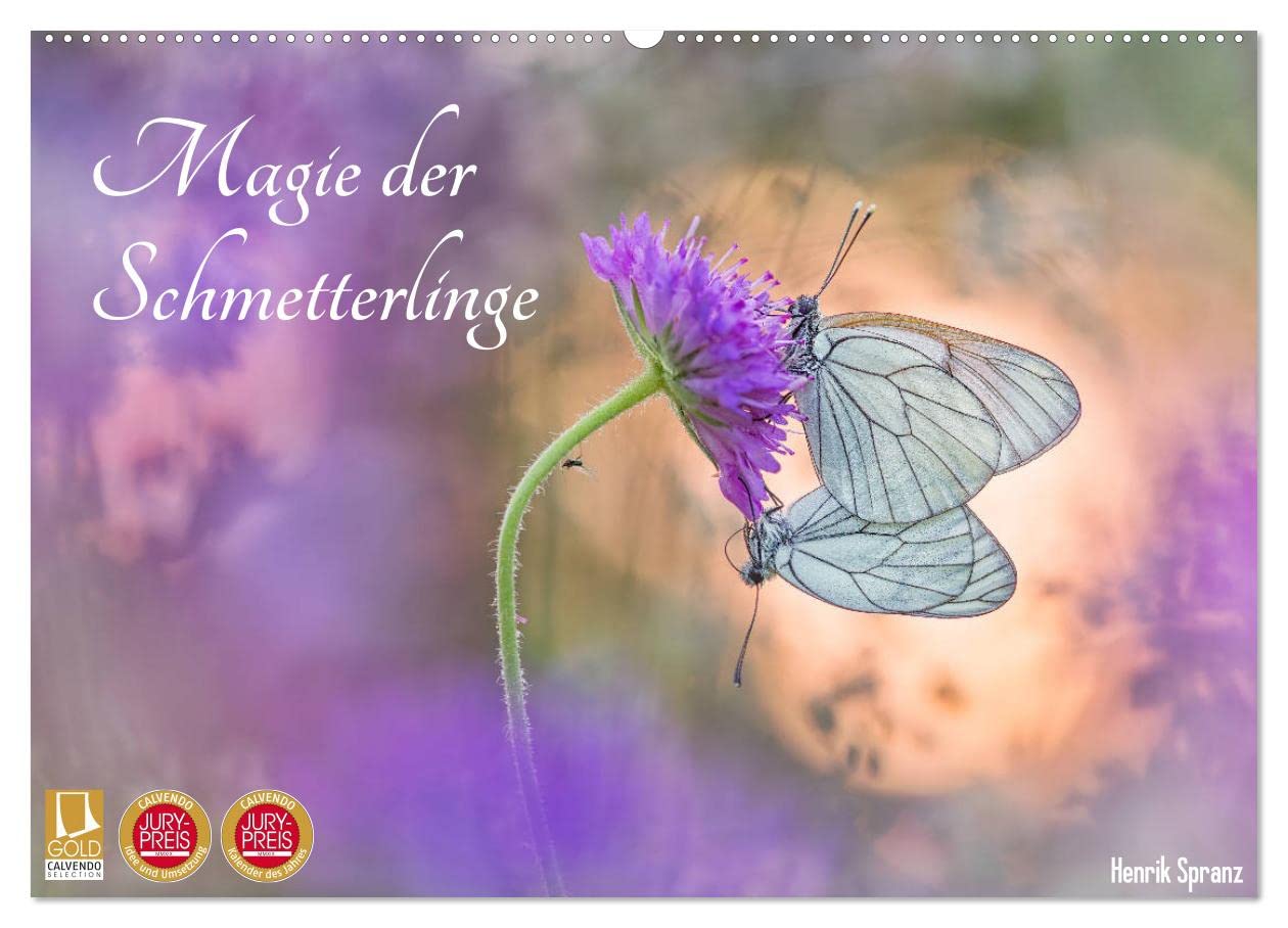 Magie der Schmetterlinge (Wandkalender 2025 DIN A2 quer), CALVENDO Monatskalender: Schmetterlinge verzaubern mit ihrer Leichtigkeit und ihren Farben. (CALVENDO Natur) Photography