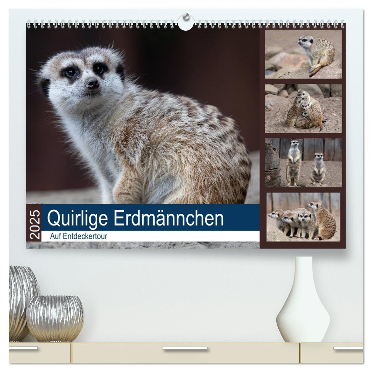 Quirlige Erdmännchen (hochwertiger Premium Wandkalender 2025 DIN A2 quer), Kunstdruck in Hochglanz: Die muss man einfach gerne haben. (CALVENDO Tiere) Photography
