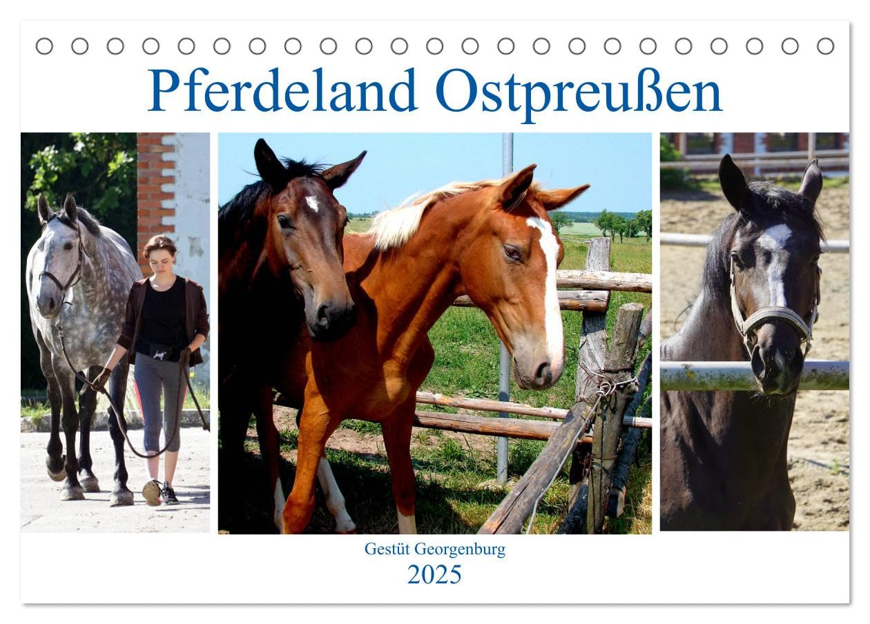 Pferdeland Ostpreußen - Gestüt Georgenburg (Tischkalender 2025 DIN A5 quer), CALVENDO Monatskalender: Das russische Gestüt Georgenburg/Majowka in Ostpreußen (CALVENDO Tiere) Natural Sciences